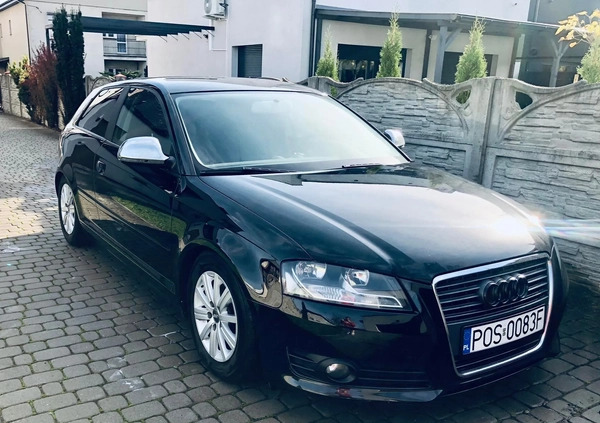 Audi A3 cena 13900 przebieg: 196454, rok produkcji 2009 z Polanów małe 436